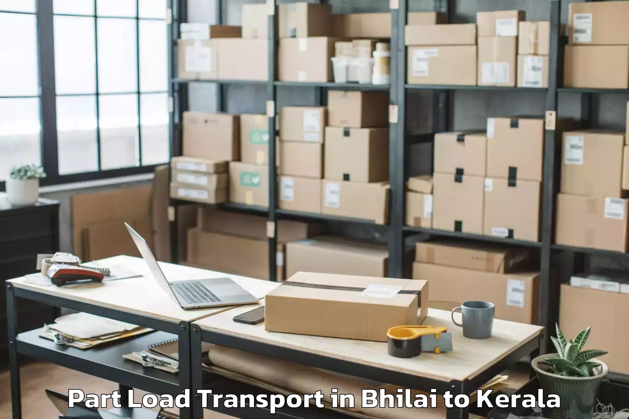 Professional Bhilai to Triprayar Part Load Transport